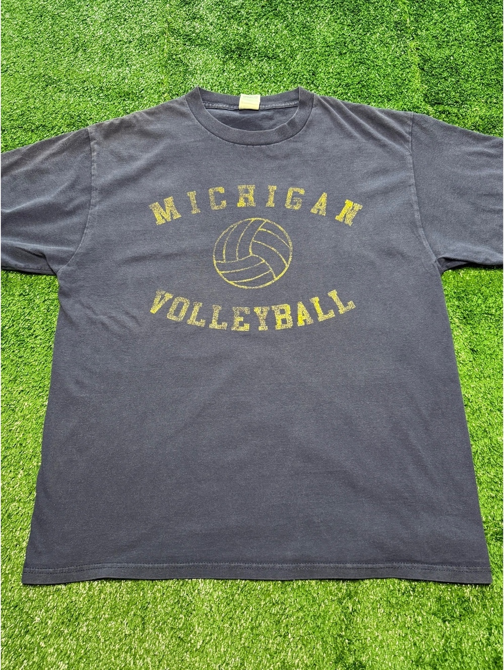 Vintage Y2K Michigan Volleyball Tee | Size Large